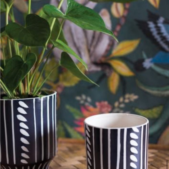 Ziva Pot - Picture 2 of 4